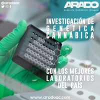 post-arado-2021-5